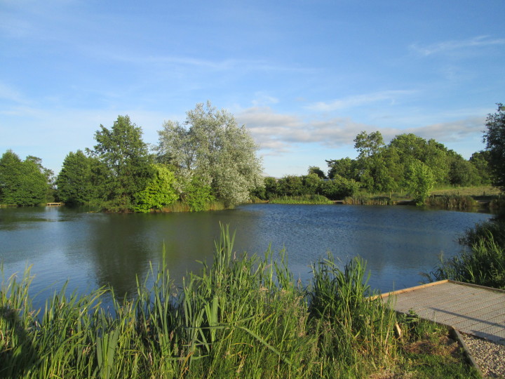 Ivy Lodge Carp Fishery